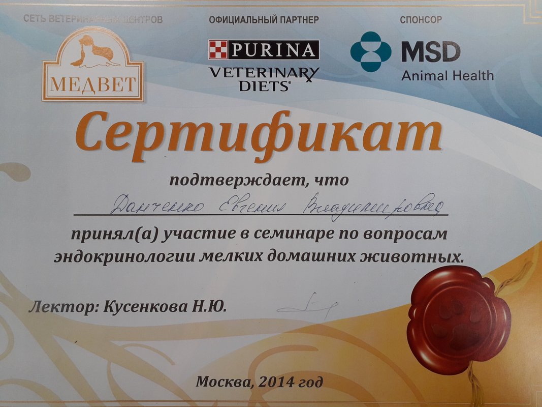 Документ или сертификат