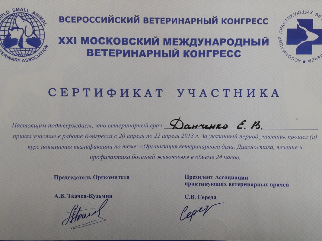 Документ или сертификат