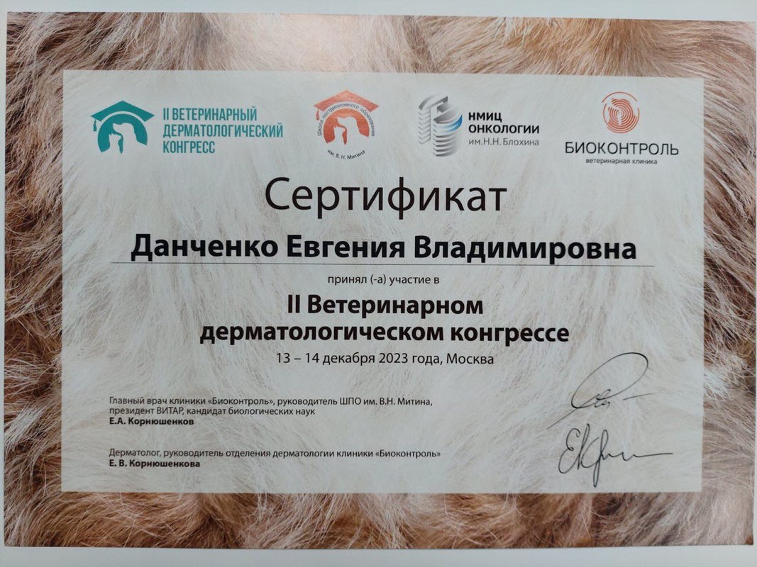 Документ или сертификат