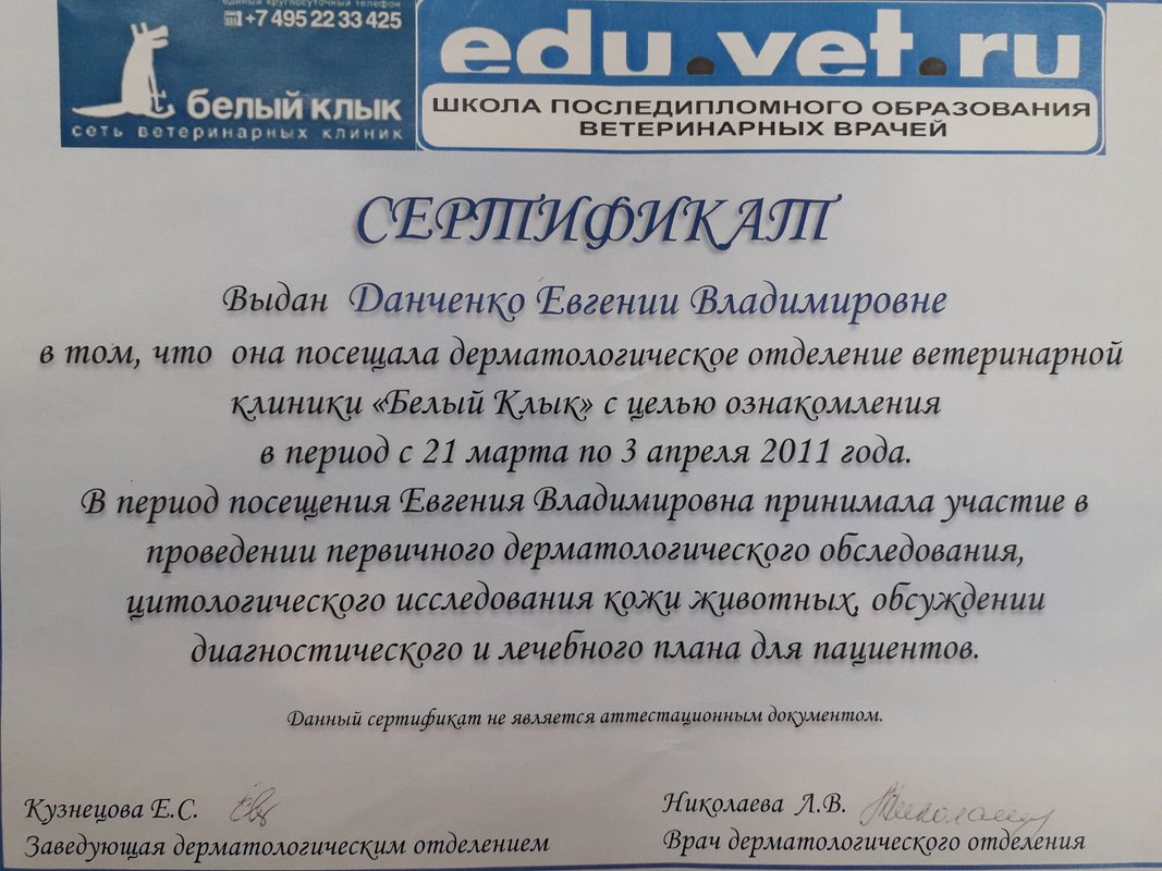 Документ или сертификат