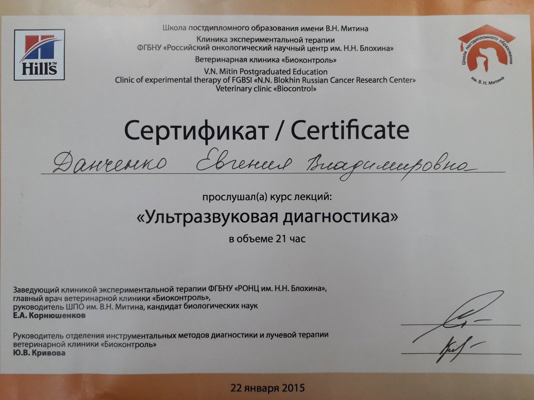 Документ или сертификат