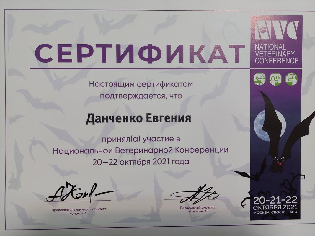 Документ или сертификат