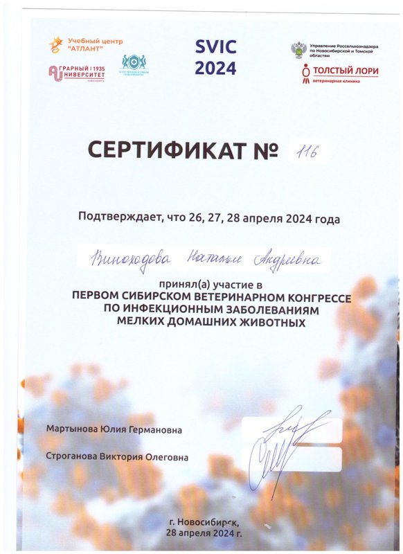Документ или сертификат
