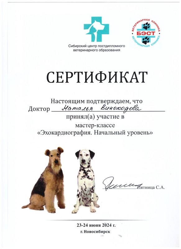 Документ или сертификат