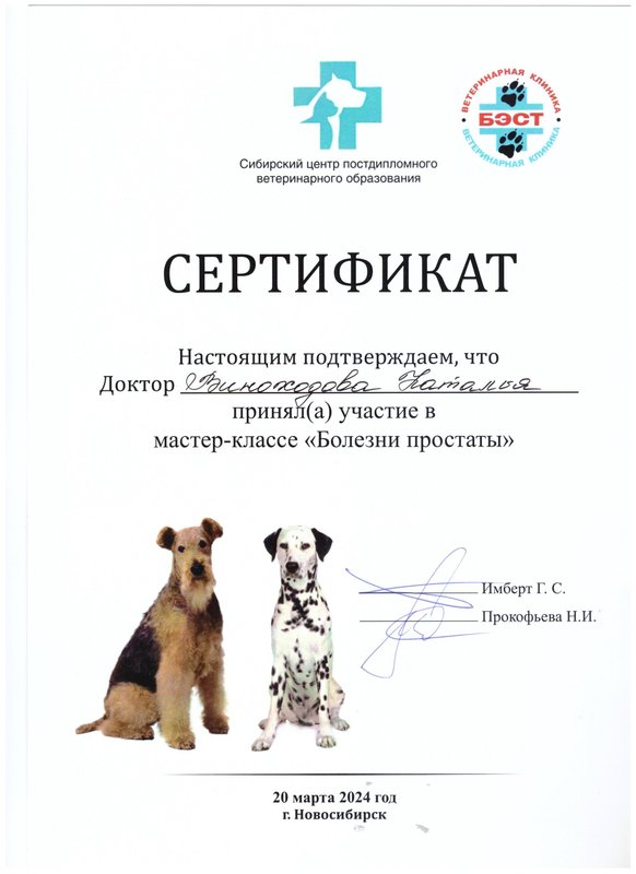 Документ или сертификат