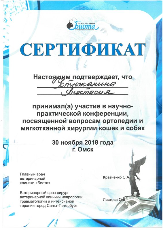 Документ или сертификат
