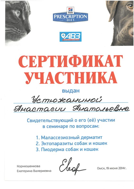 Документ или сертификат