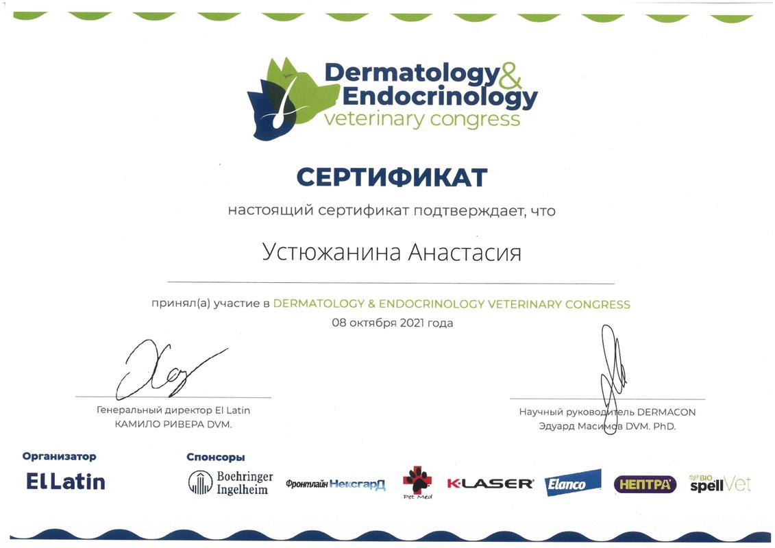 Документ или сертификат