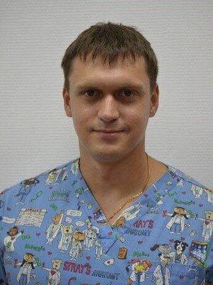 Фото врача Гречко Виктор Валентинович