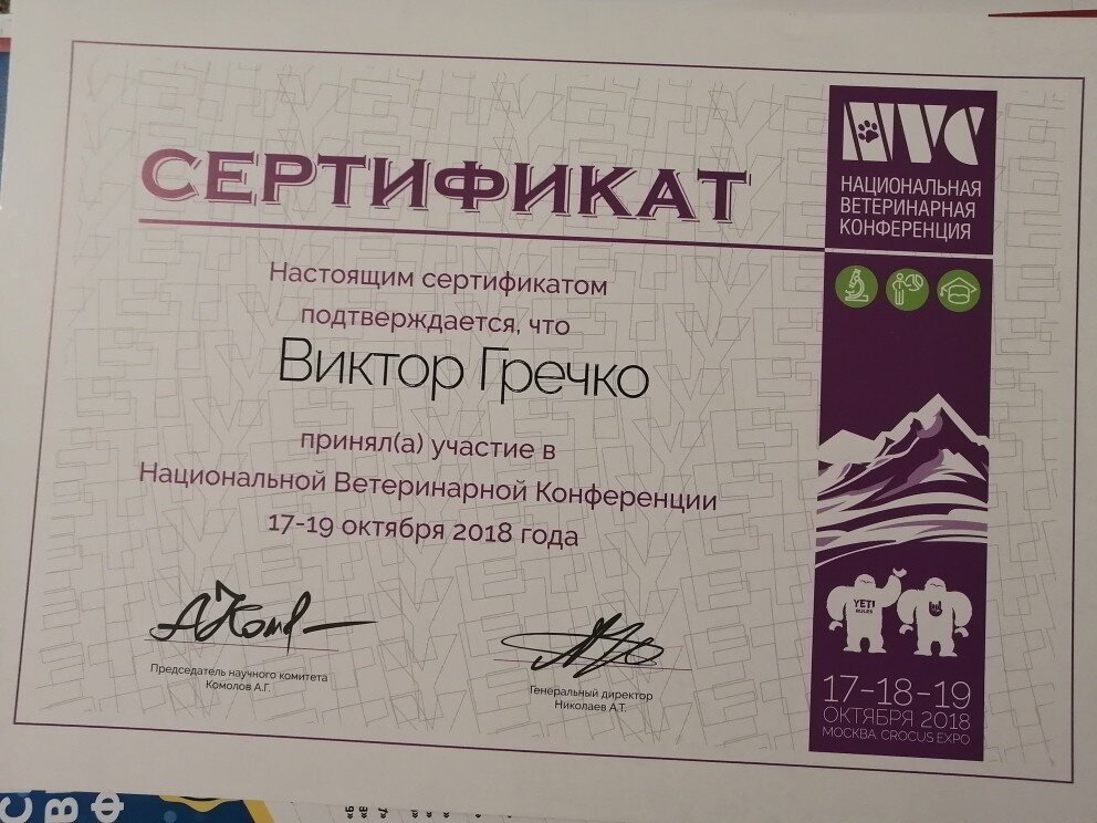 Документ или сертификат