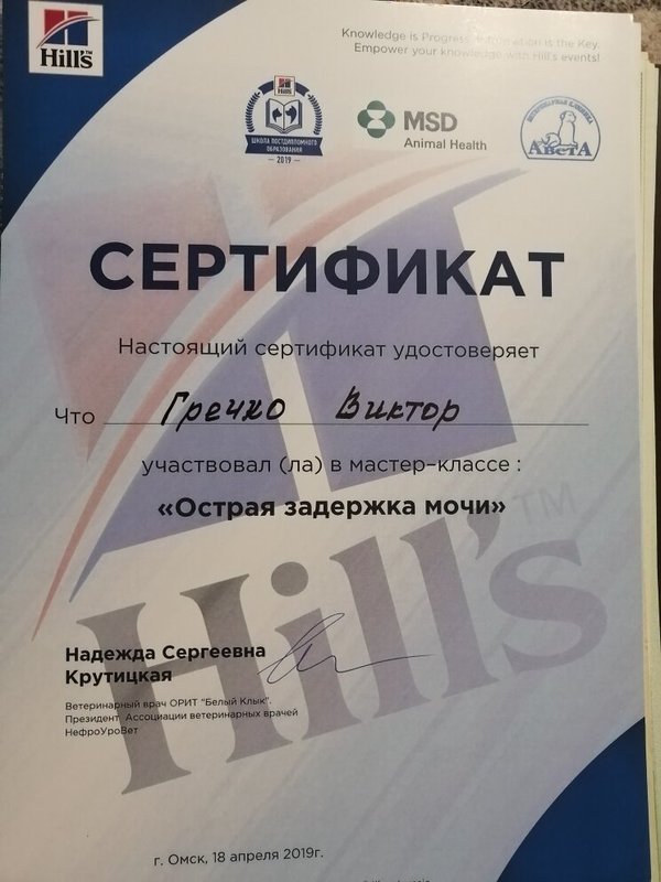 Документ или сертификат