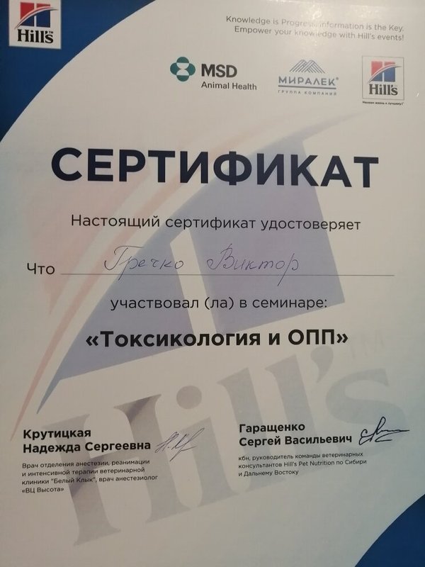 Документ или сертификат