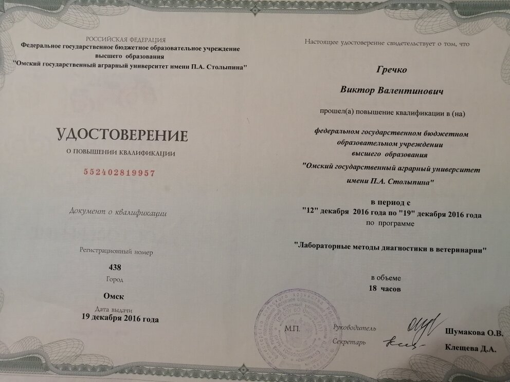 Документ или сертификат