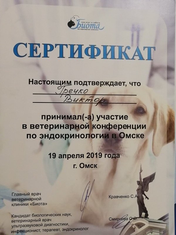 Документ или сертификат