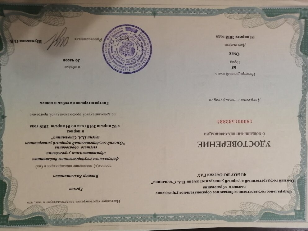 Документ или сертификат