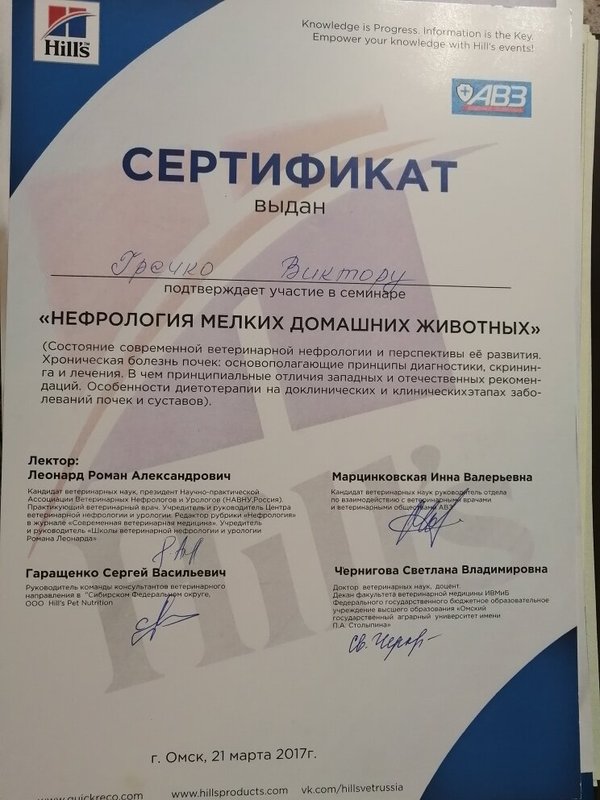 Документ или сертификат