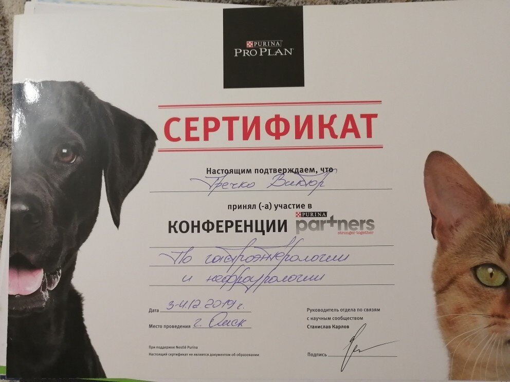 Документ или сертификат