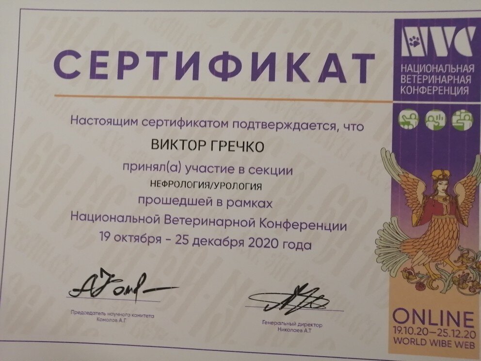 Документ или сертификат