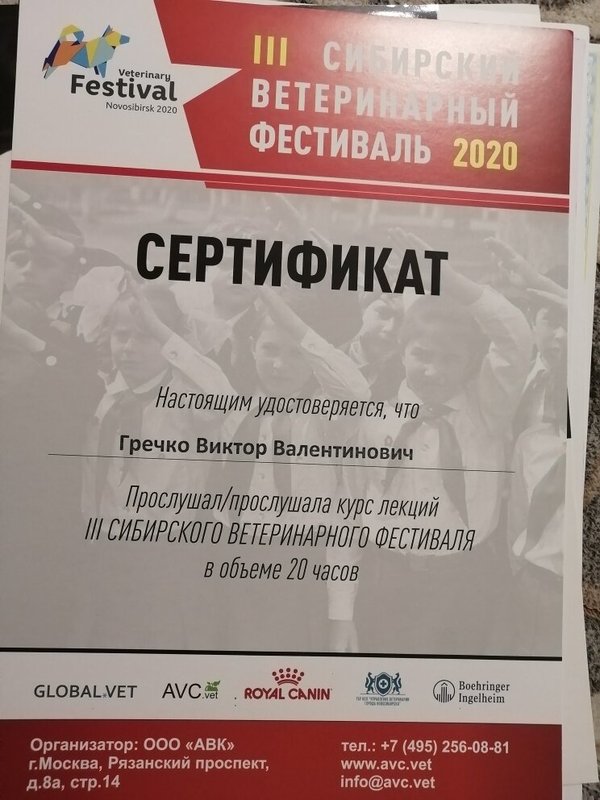 Документ или сертификат