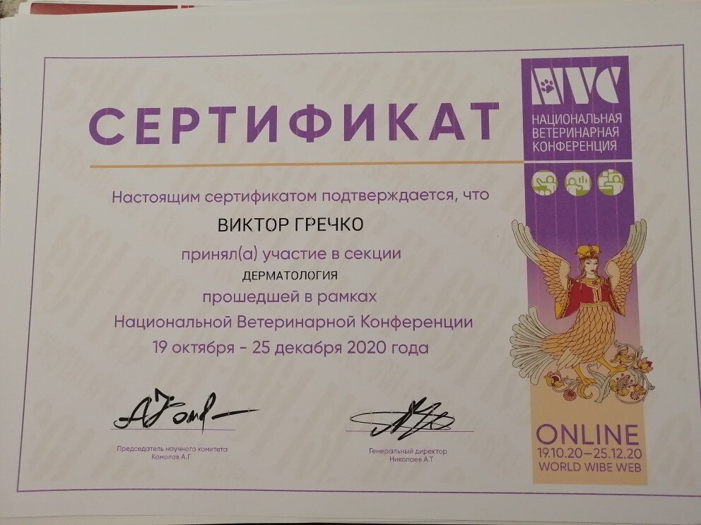 Документ или сертификат