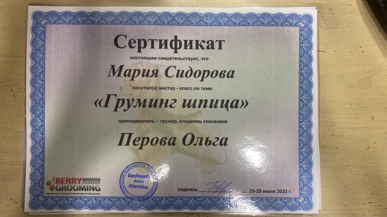 Документ или сертификат