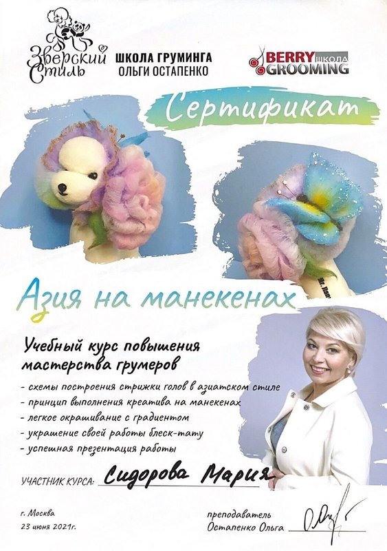 Документ или сертификат