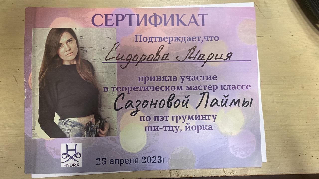 Документ или сертификат
