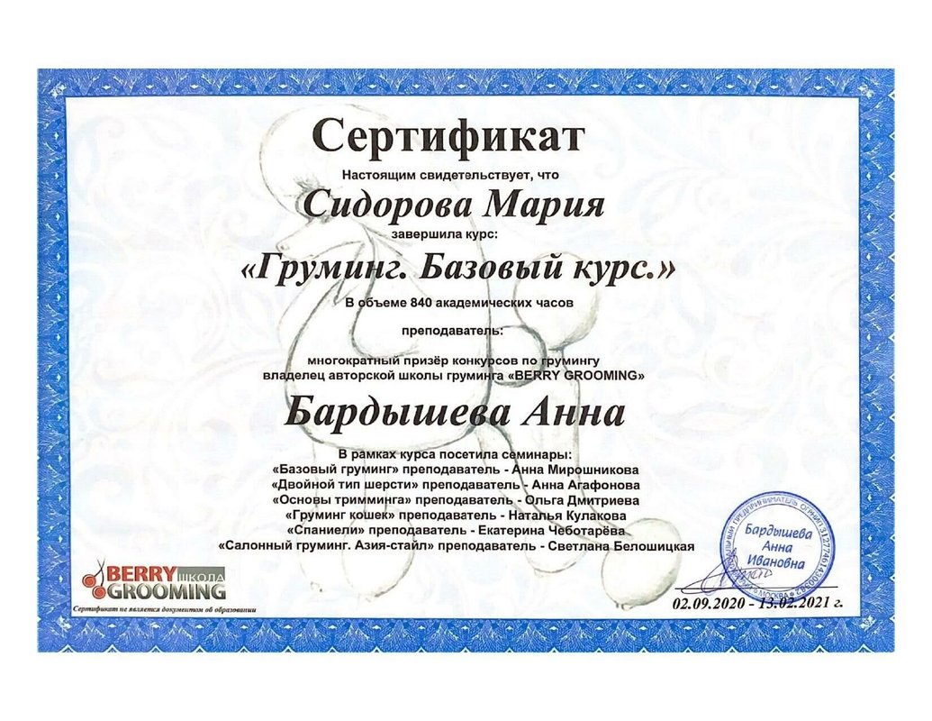 Документ или сертификат