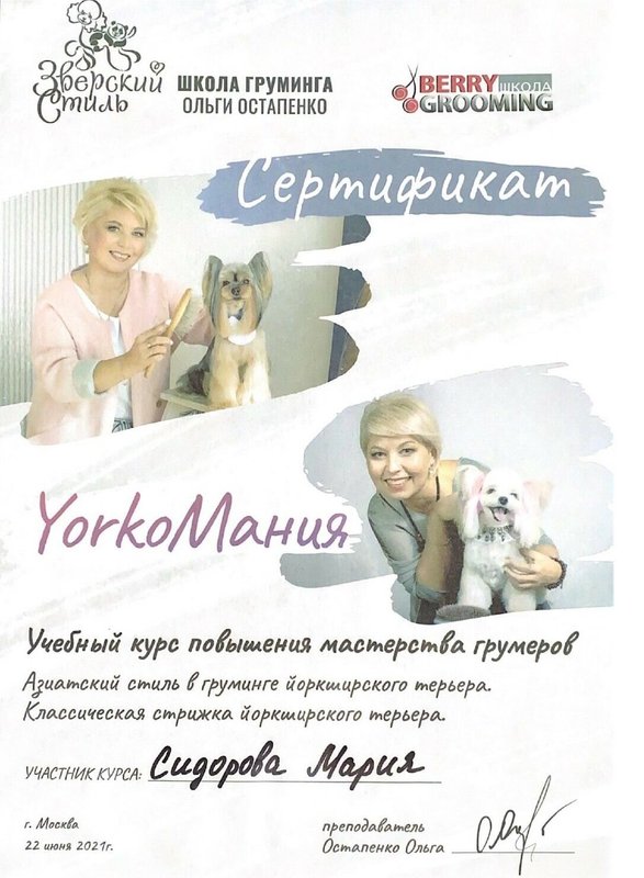 Документ или сертификат