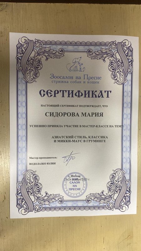 Документ или сертификат