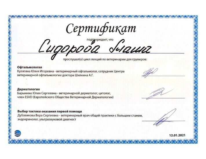Документ или сертификат