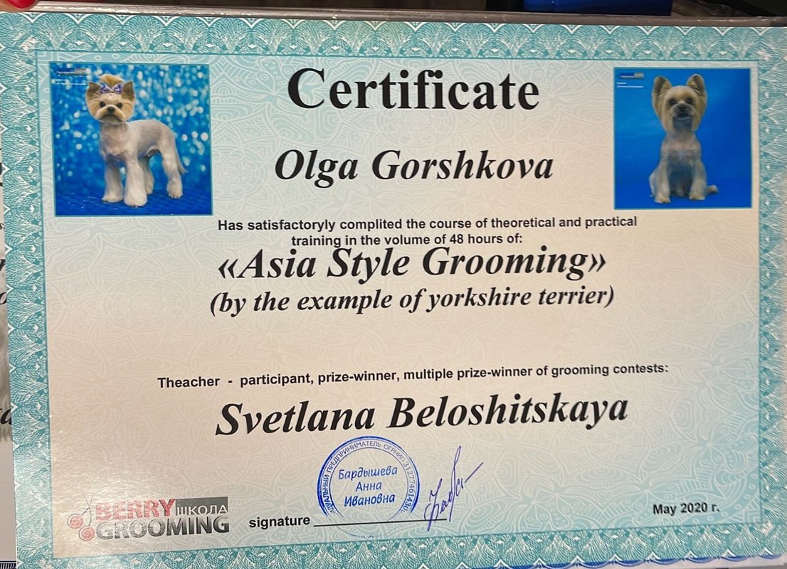 Документ или сертификат
