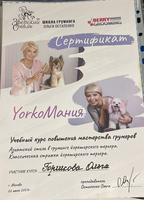Документ или сертификат