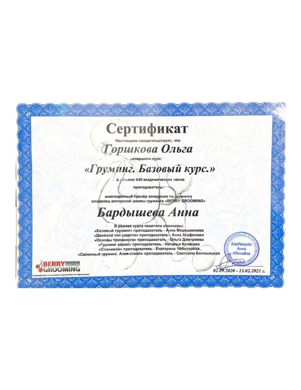Документ или сертификат