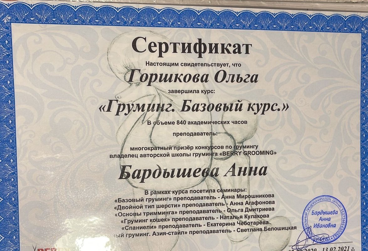 Документ или сертификат