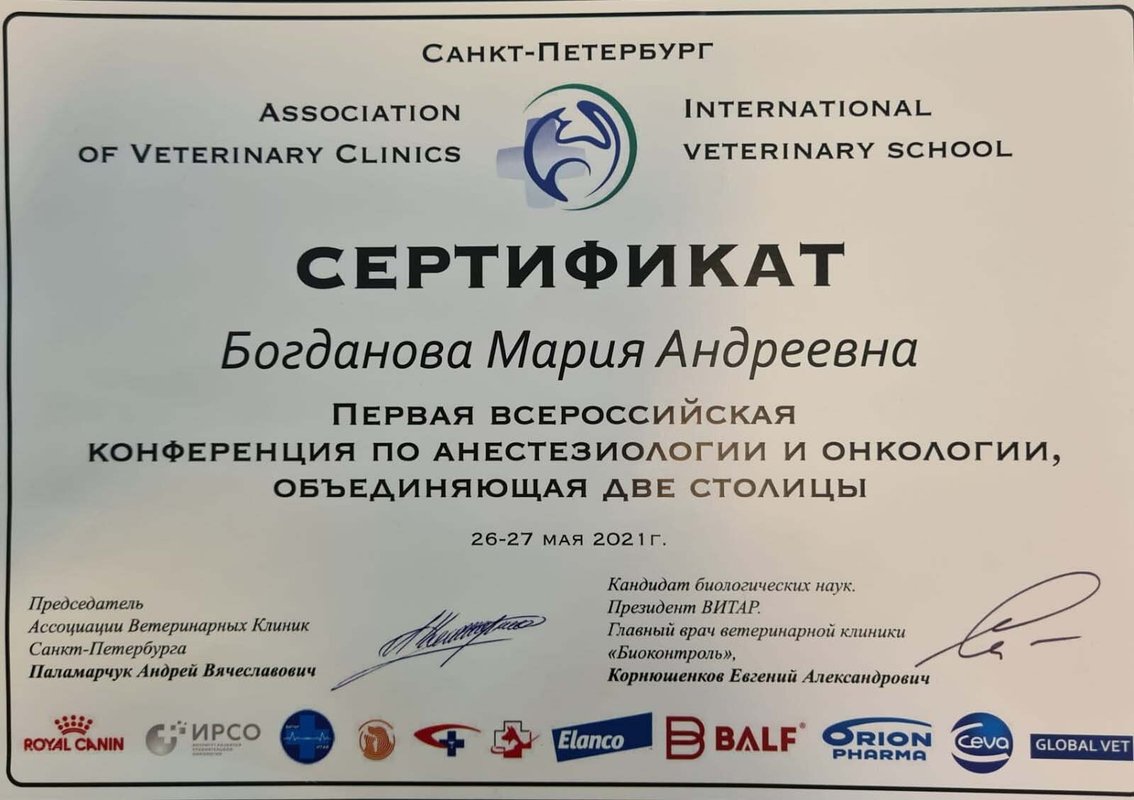 Документ или сертификат