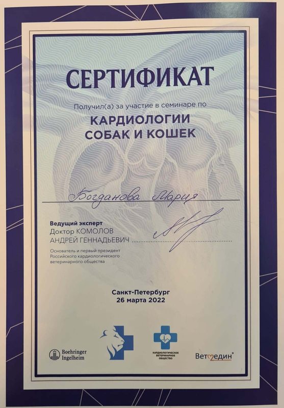 Документ или сертификат