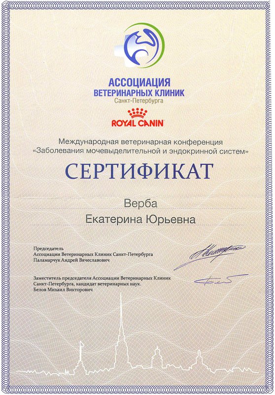 Документ или сертификат