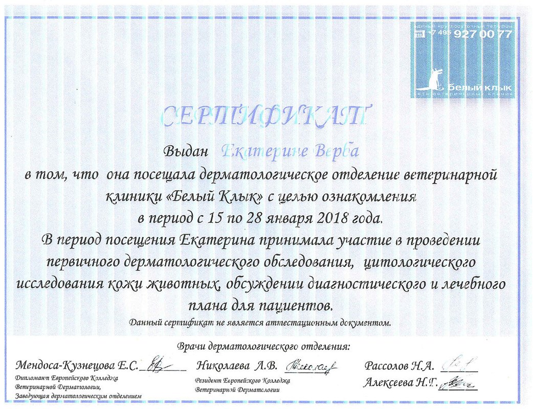 Документ или сертификат