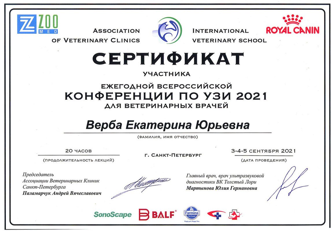 Документ или сертификат