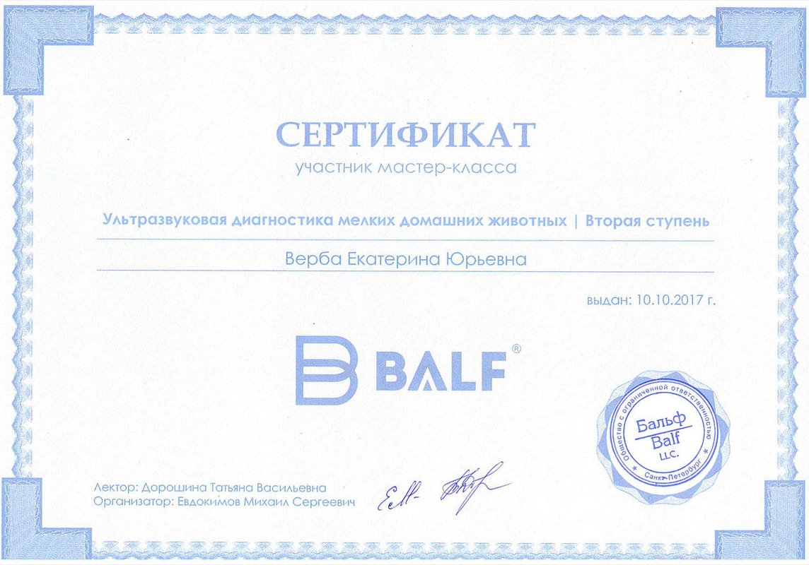 Документ или сертификат