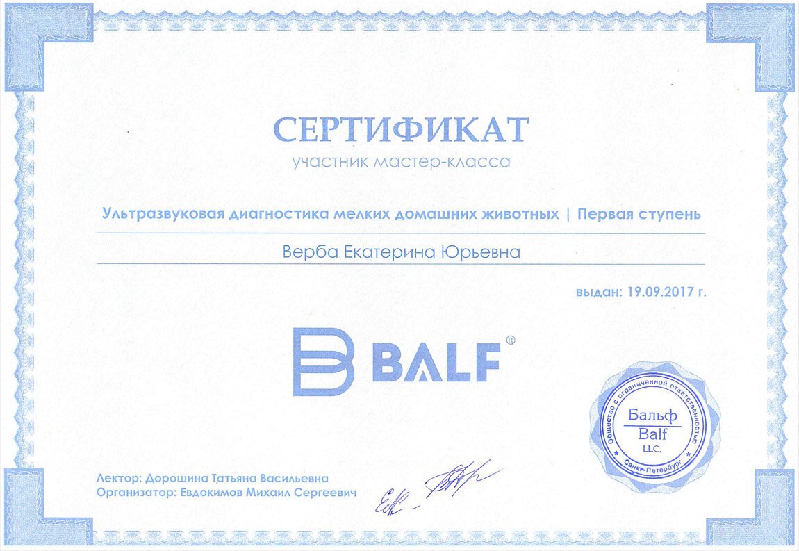 Документ или сертификат