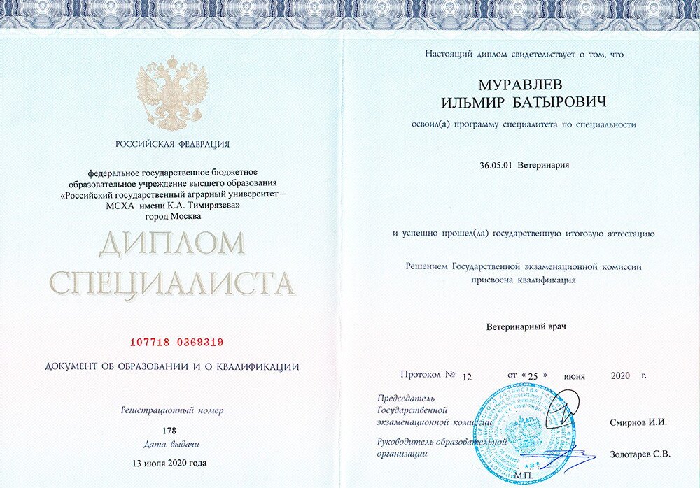 Документ или сертификат