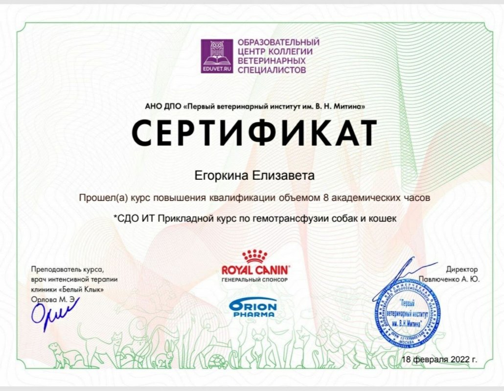 Документ или сертификат