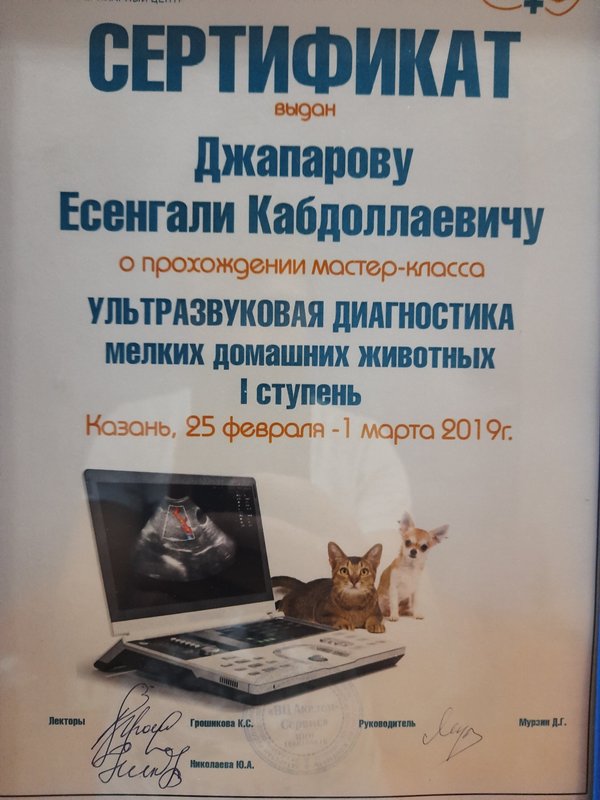 Фото врача