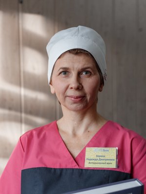Фото врача Зорина Надежда Дмитриевна