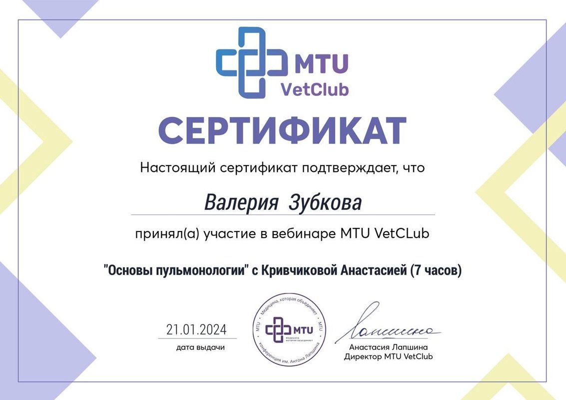 Документ или сертификат