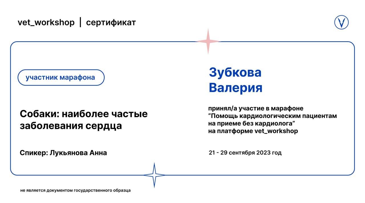 Документ или сертификат