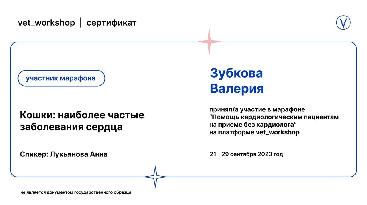 Документ или сертификат