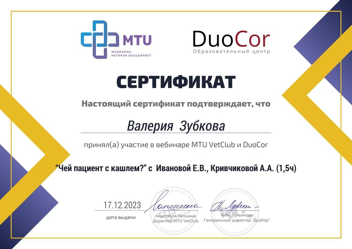 Документ или сертификат